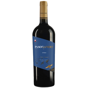 Vinho Tinto Chileno Paso de Los Andes Varietal Syrah 750ml